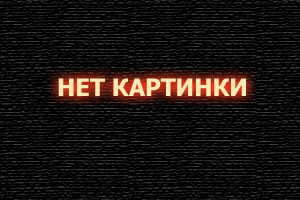 Как кошка с собакой