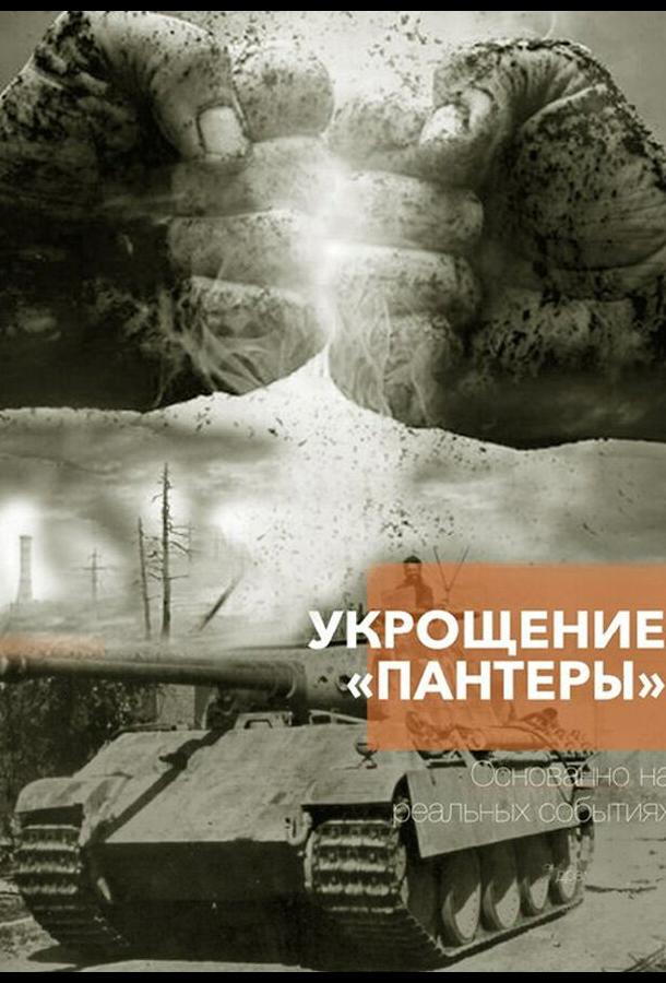 Укрощение «Пантеры»
